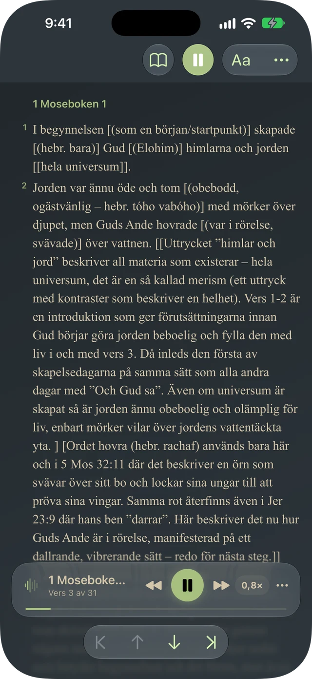 Tanakh Time läser ett stycke högt med versmarkering och uppspelningskontroller